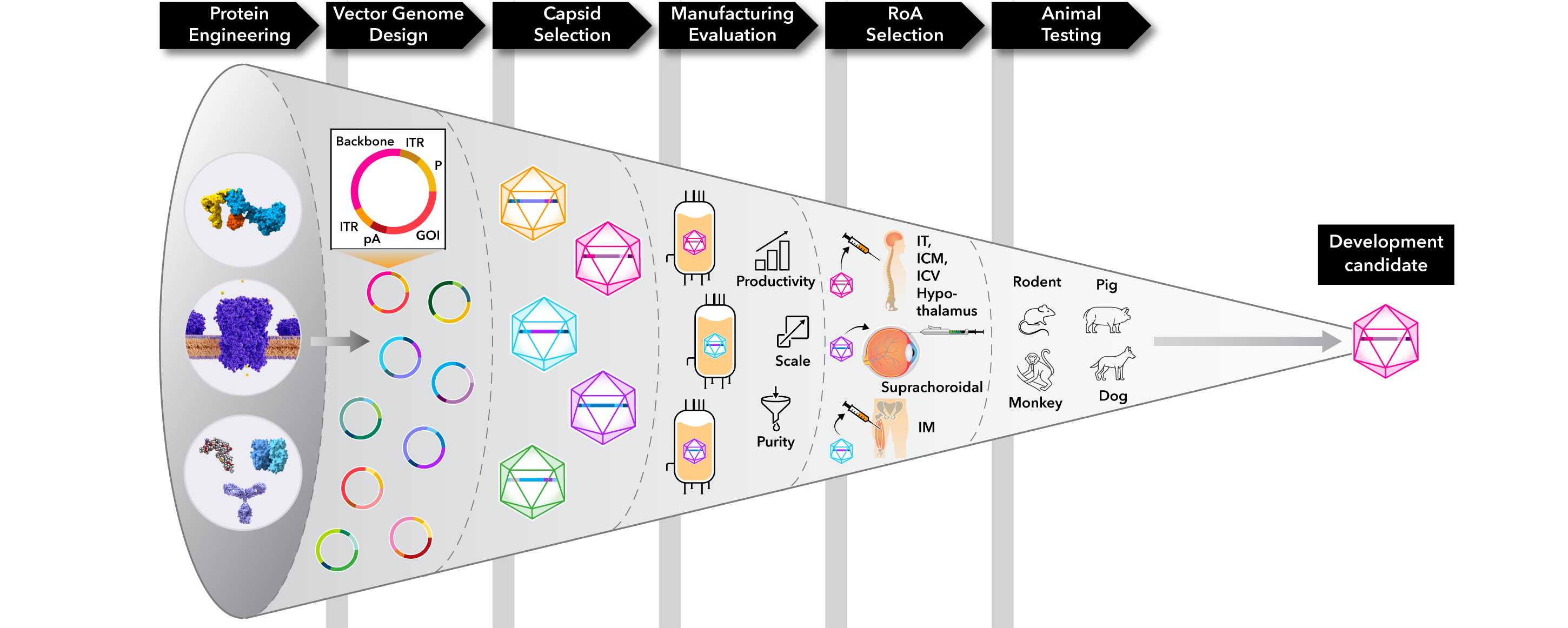 Kriya’s gene therapy development engine